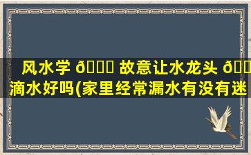 风水学 🍁 故意让水龙头 🐎 滴水好吗(家里经常漏水有没有迷信说法)